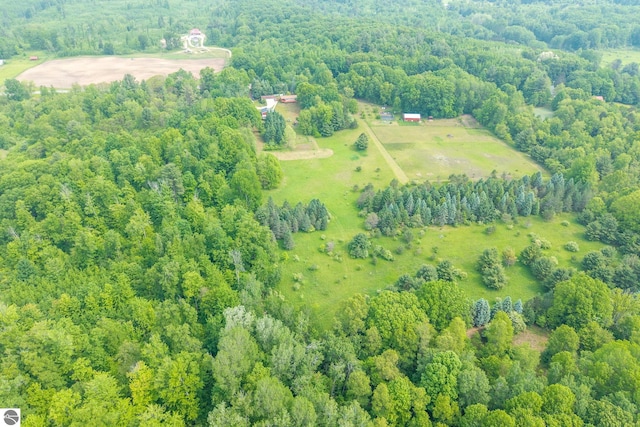 19275 Coates Hwy, Brethren, MI 49619 - overview of rural landscape featuring a forest