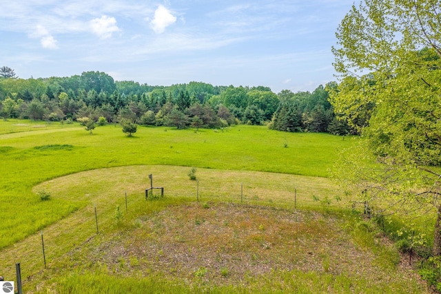 19275 Coates Hwy, Brethren, MI 49619 - bird's eye view