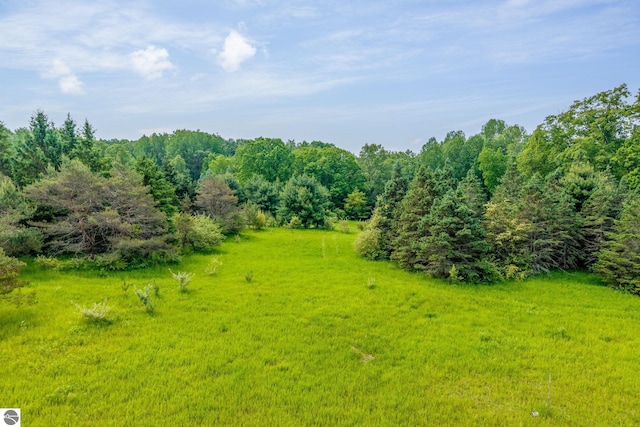 19275 Coates Hwy, Brethren, MI 49619 - view of yard