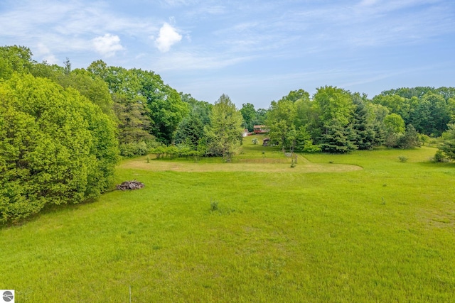 19275 Coates Hwy, Brethren, MI 49619 - view of green lawn