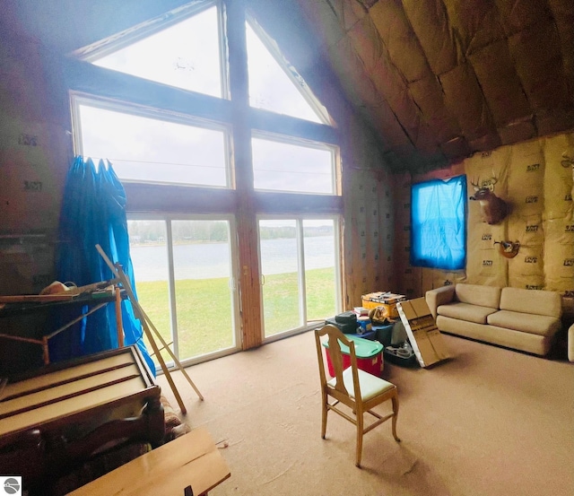 1415 Paczesny Pl, Central Lake, MI 49622 - living area with carpet floors, a water view, high vaulted ceiling, and plenty of natural light