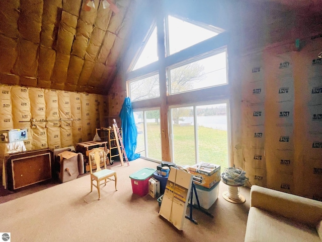 1415 Paczesny Pl, Central Lake, MI 49622 - rec room featuring high vaulted ceiling