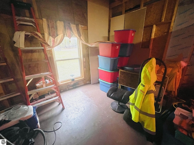 1415 Paczesny Pl, Central Lake, MI 49622 - view of storage room