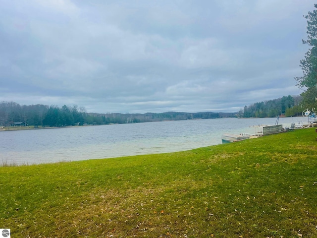 1415 Paczesny Pl, Central Lake, MI 49622 - water view with a dock
