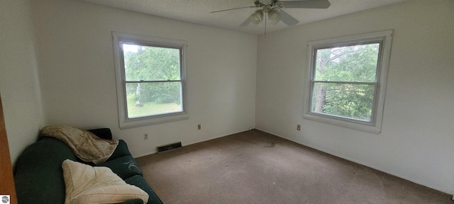 601 Monroe, Mancelona, MI 49659 - unfurnished room with healthy amount of natural light, carpet, and a ceiling fan