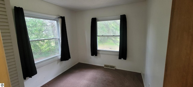 601 Monroe, Mancelona, MI 49659 - unfurnished room featuring healthy amount of natural light and dark carpet