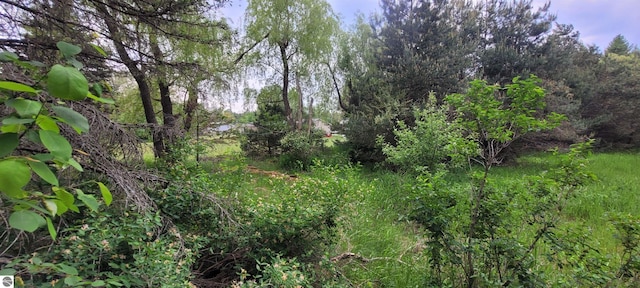 601 Monroe, Mancelona, MI 49659 - view of wooded area