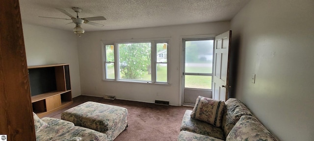 601 Monroe, Mancelona, MI 49659 - living room with carpet flooring, ceiling fan, and a textured ceiling