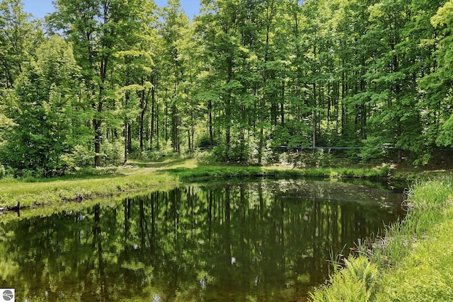 5056 Entwood Ln, Fife Lake, MI 49633