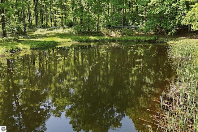 5056 Entwood Ln, Fife Lake, MI 49633