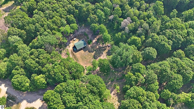 1099 S 7 1/2 Rd, Harrietta, MI 49638 - aerial view of property and surrounding area