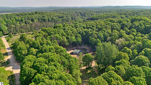 1099 S 7 1/2 Rd, Harrietta, MI 49638 - view of property location featuring a forest