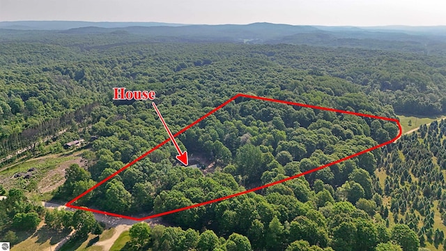 1099 S 7 1/2 Rd, Harrietta, MI 49638 - aerial view of property and surrounding area featuring property parcel outlined