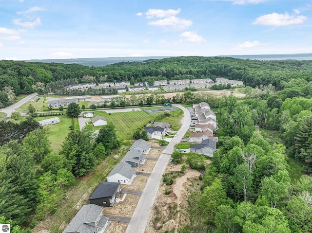 3872 Falling Leaf Trl, Traverse City, MI 49686 - bird's eye view of a heavily wooded area