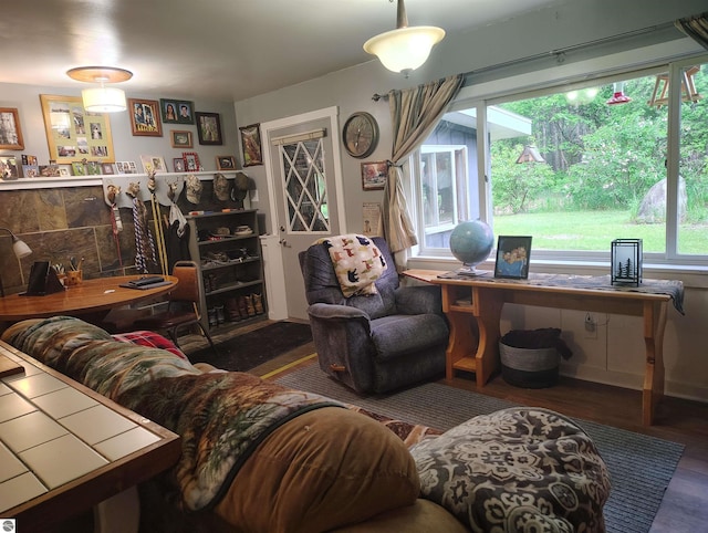 5094 SW Old Butler Rd Unit 1, South Boardman, MI 49680 - living area with plenty of natural light, wood finished floors, and bar area