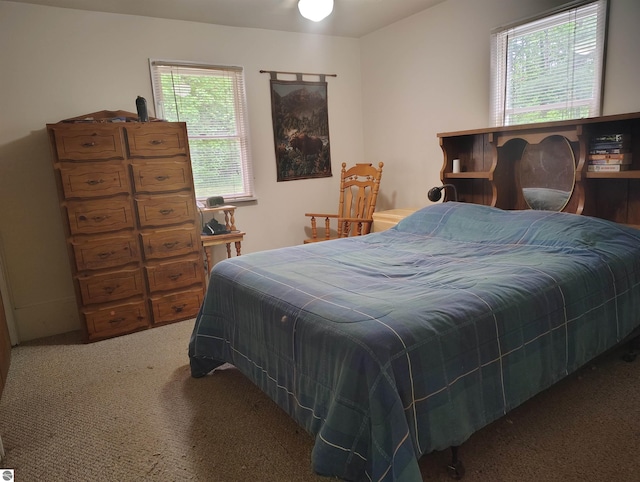 5094 SW Old Butler Rd Unit 1, South Boardman, MI 49680 - view of carpeted bedroom