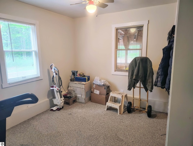 5094 SW Old Butler Rd Unit 1, South Boardman, MI 49680 - misc room featuring carpet floors and ceiling fan