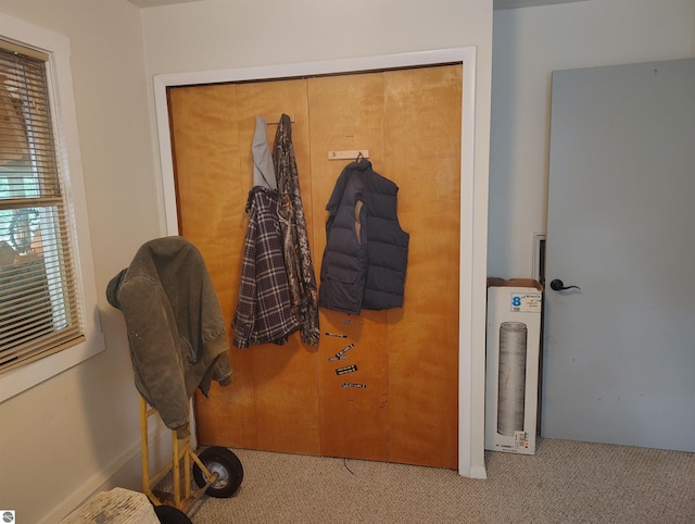5094 SW Old Butler Rd Unit 1, South Boardman, MI 49680 - detailed view of carpet flooring