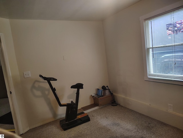 5094 SW Old Butler Rd Unit 1, South Boardman, MI 49680 - workout area featuring carpet floors