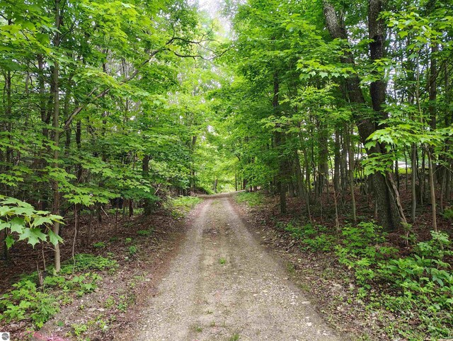 5094 SW Old Butler Rd Unit 1, South Boardman, MI 49680 - view of dirt / gravel road with a forest view