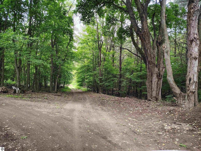 5094 SW Old Butler Rd Unit 1, South Boardman, MI 49680 - view of tree filled area