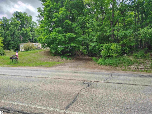 5094 SW Old Butler Rd Unit 1, South Boardman, MI 49680 - view of asphalt street with a view of trees