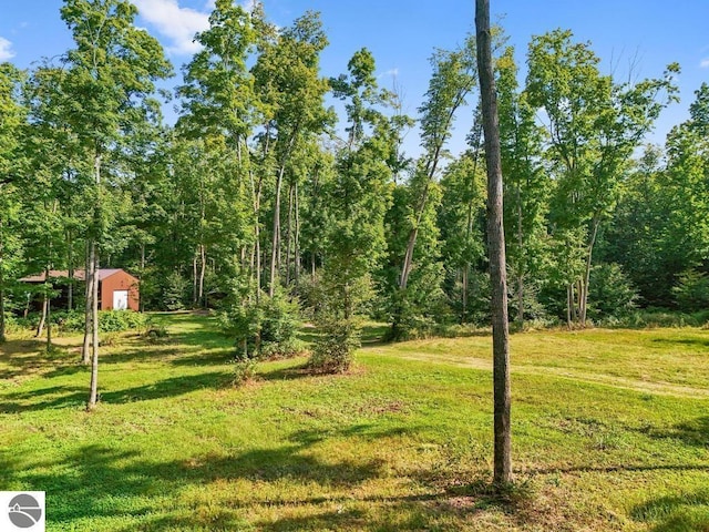 V/L W Elder Rd, Mancelona, MI 49659