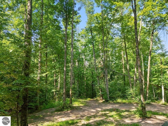 V/L W Elder Rd, Mancelona, MI 49659