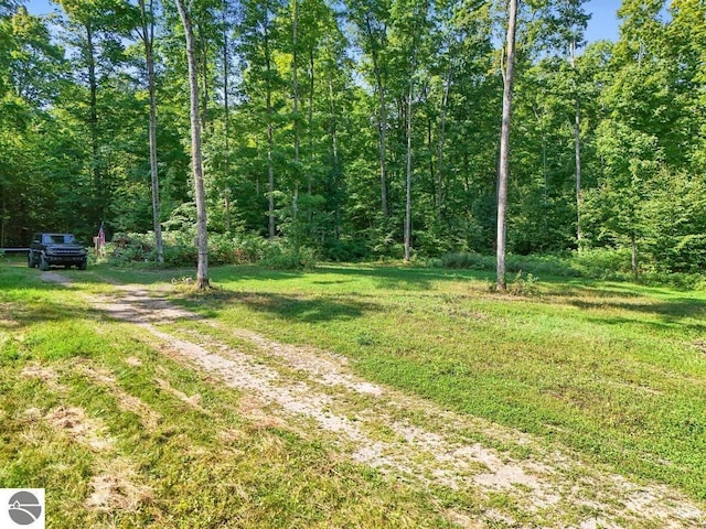 V/L W Elder Rd, Mancelona, MI 49659
