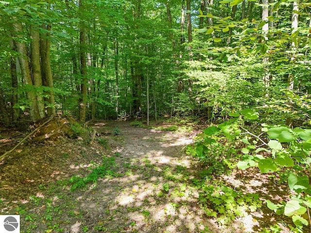 V/L W Elder Rd, Mancelona, MI 49659