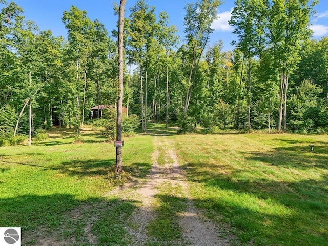 V/L W Elder Rd, Mancelona, MI 49659
