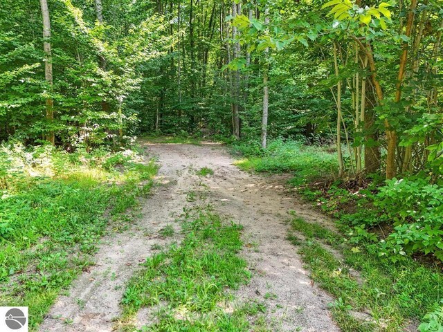 V/L W Elder Rd, Mancelona, MI 49659