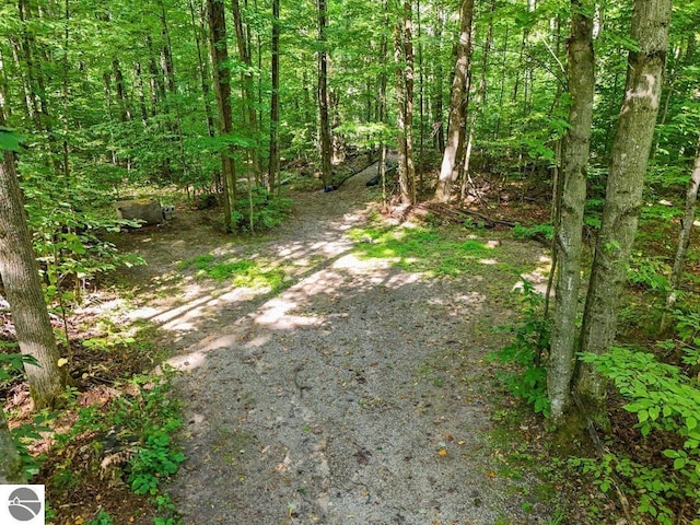 V/L W Elder Rd, Mancelona, MI 49659
