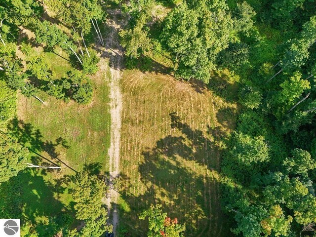 V/L W Elder Rd, Mancelona, MI 49659
