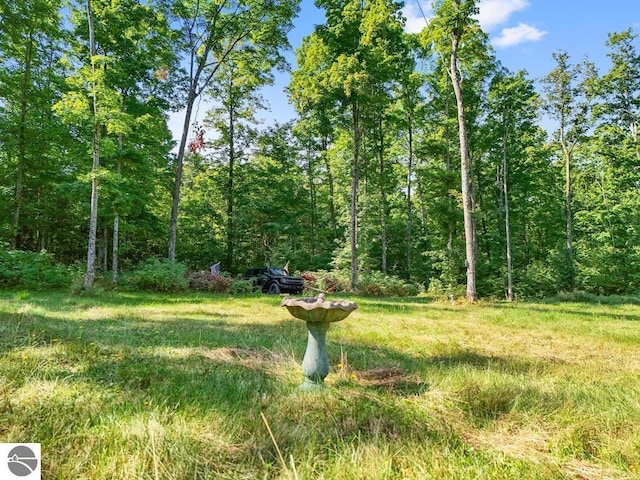 V/L W Elder Rd, Mancelona, MI 49659