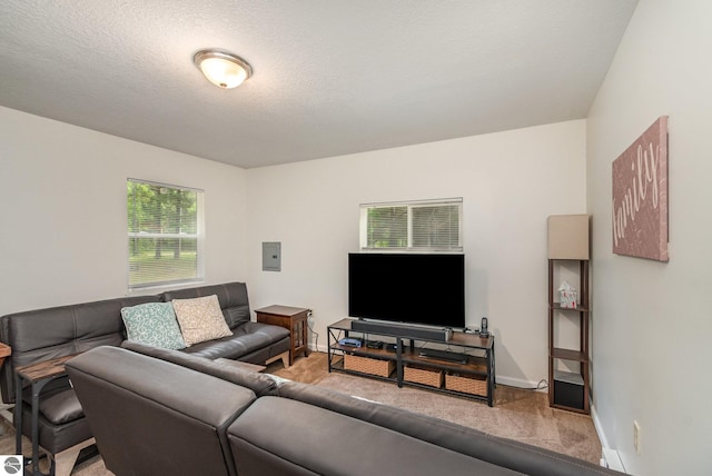 7373 Blue Ox Trl, South Branch, MI 48761 - living area with carpet floors and electric panel