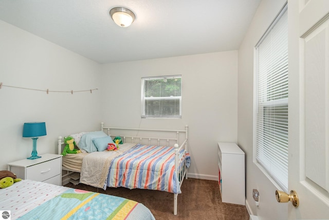 7373 Blue Ox Trl, South Branch, MI 48761 - carpeted bedroom with baseboards