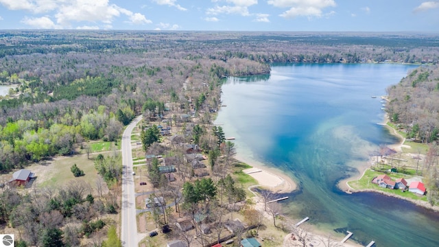 7373 Blue Ox Trl, South Branch, MI 48761 - view of property location featuring a forest and a nearby body of water