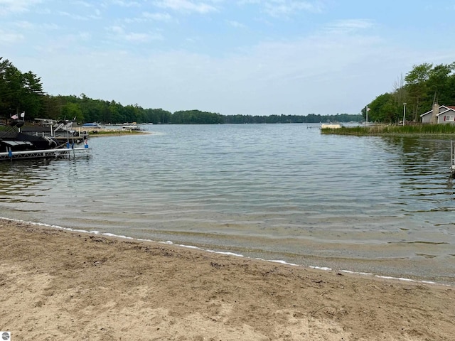 7373 Blue Ox Trl, South Branch, MI 48761 - water view