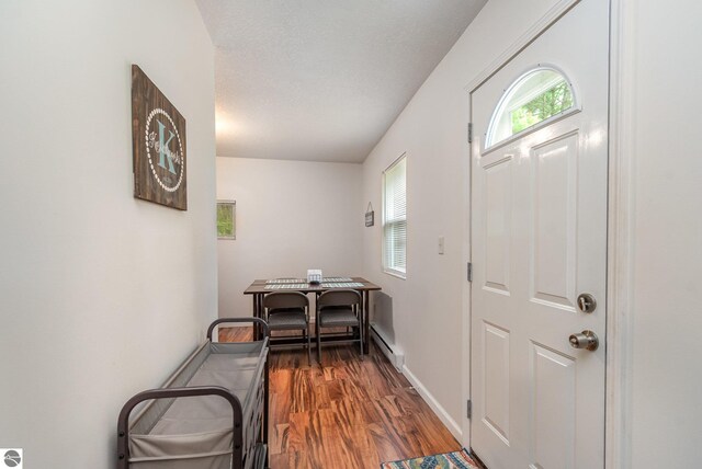 7373 Blue Ox Trl, South Branch, MI 48761 - foyer featuring dark wood-style floors and baseboard heating