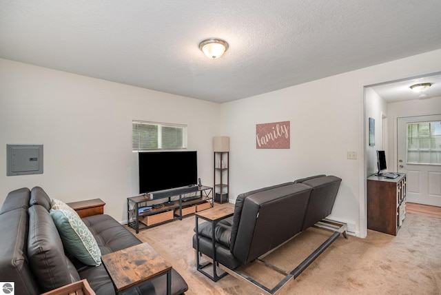 7373 Blue Ox Trl, South Branch, MI 48761 - living area with light carpet and electric panel
