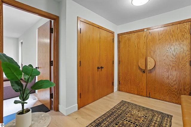 4340 E Huron River Dr, Ann Arbor, MI 48105 - foyer featuring light wood-style flooring and baseboards