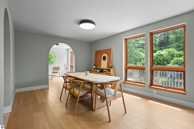 4340 E Huron River Dr, Ann Arbor, MI 48105 - dining area with arched walkways, light wood-style flooring, and plenty of natural light