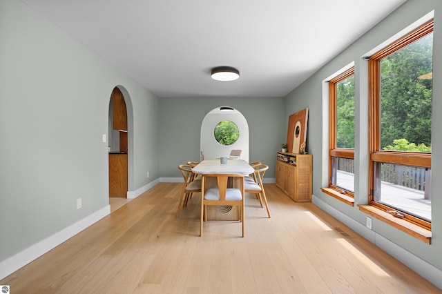 4340 E Huron River Dr, Ann Arbor, MI 48105 - dining space featuring arched walkways and light wood-style flooring