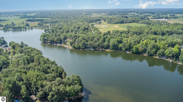 7746 Five Lakes Dr, Farwell, MI 48622 - aerial view of property's location featuring a large body of water and a forest