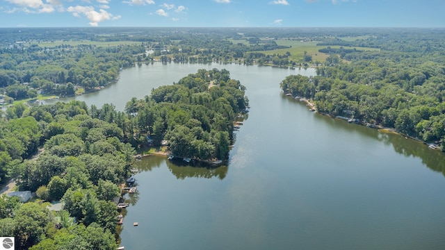 7746 Five Lakes Dr, Farwell, MI 48622 - bird's eye view of a nearby body of water