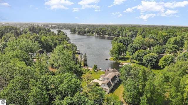 7746 Five Lakes Dr, Farwell, MI 48622 - drone / aerial view of a nearby body of water and a forest