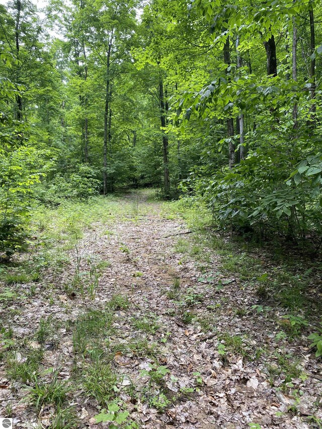 PARCEL3 Stark Rd, Mancelona, MI 49676