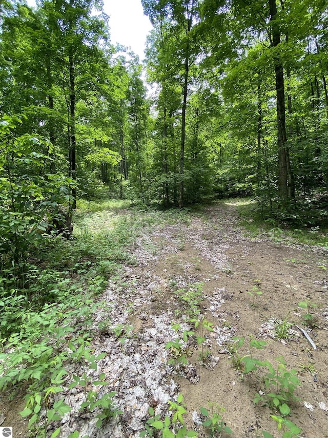 PARCEL3 Stark Rd, Mancelona, MI 49676