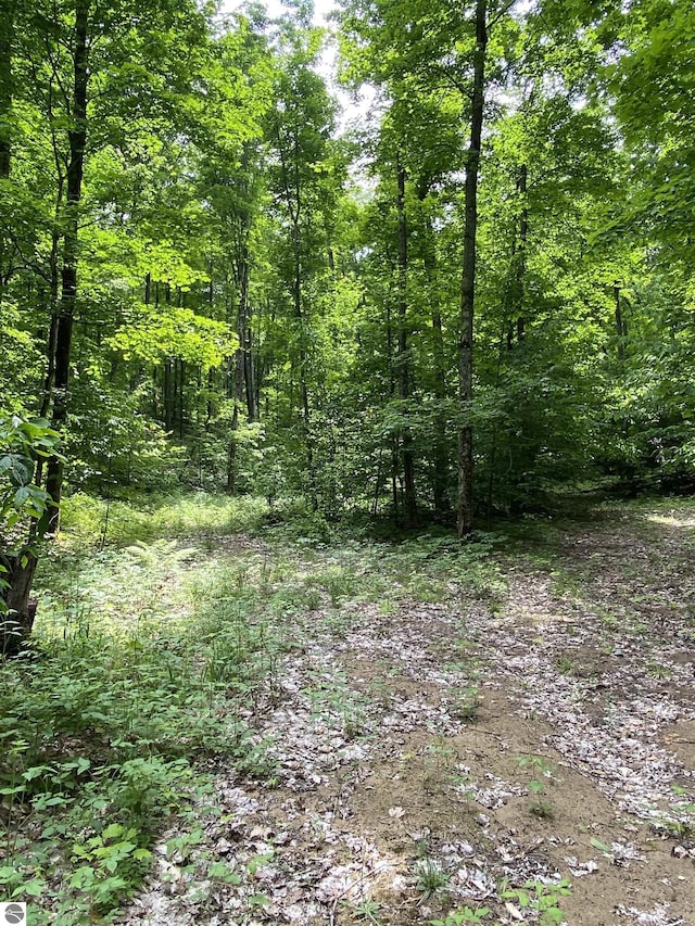 PARCEL3 Stark Rd, Mancelona, MI 49676